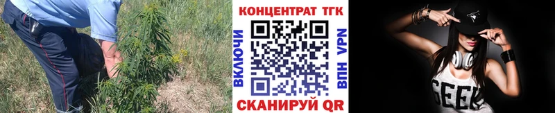 ТГК концентрат  Моздок 