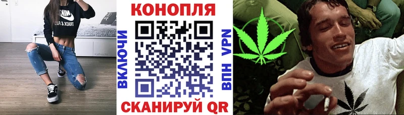 ссылка на мегу рабочий сайт  Моздок  МАРИХУАНА Amnesia 